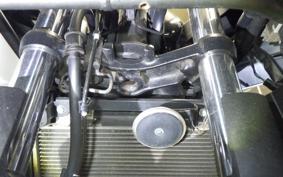KAWASAKI NINJA 250 ABS EX250L