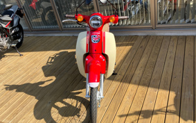 HONDA SUPER CUB50 AA09