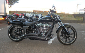 HARLEY FXBRS 2021 YHK