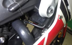 YAMAHA XSR900 GP 2024 RN96J