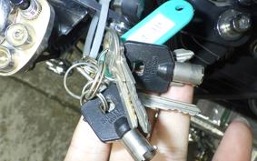 OTHER UNREGISTERED MODEL by BDS1200 2011