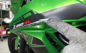 KAWASAKI Z250 SL 2010 BR250E