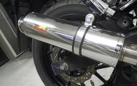 SUZUKI Vｽﾄﾛｰﾑ250 2013
