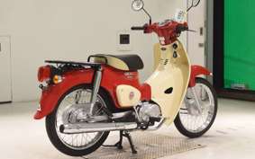 HONDA C110 SUPER CUB 2024 JA44