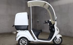 OTHER  BLAZE EV DELIVERY  ..