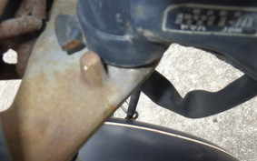 YAMAHA VIRAGO 250 3DM