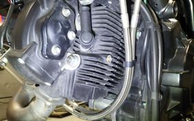 DUCATI SCRAMBLER ICON 2025
