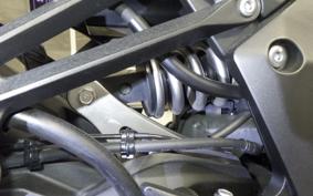 KAWASAKI NINJA 1000 SX 2021 ZXT02K