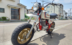 HONDA APE 50 AC16