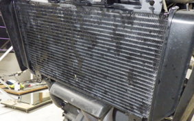 KAWASAKI ELIMINATOR400-3 2023 EL400A