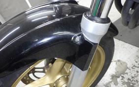 HONDA HORNET 250