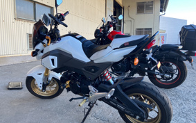 HONDA GROM