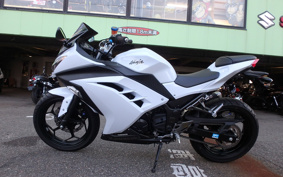 KAWASAKI NINJA 250 EX250L