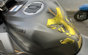 KAWASAKI NINJA ZX-25R SE ZX250E