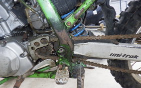 KAWASAKI KDX250SR DX250F