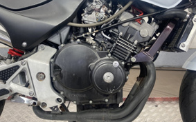 HONDA HORNET 250 MC31