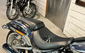 HARLEY FLSTFI 2025 BD9
