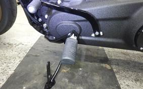 HARLEY FXLRST1920 2025