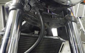 HONDA HORNET 250 MC31