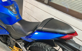 KAWASAKI NINJA 250 EX250L