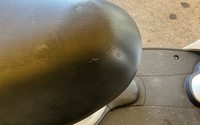 HONDA CREA SCOOPY AF55