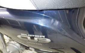 HONDA C110 SUPER CUB 2015 JA10