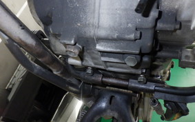 HONDA C50 SUPER CUB 2022 AA01