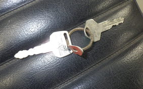 KAWASAKI Z250 Limited 2025 KZ250H