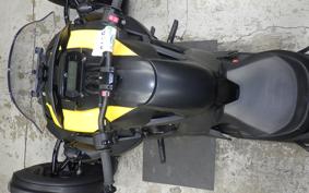 OTHER CAN-AMﾗｲｶｰ900 RALLYED 2019