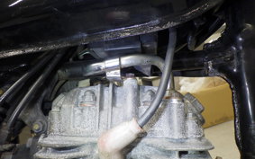 HONDA FTR223 2025 MC34