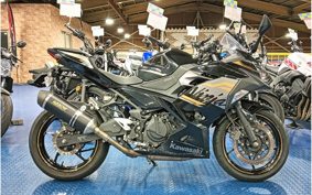 KAWASAKI NINJA 400 2019 EX400G