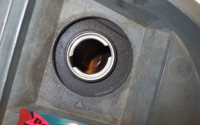 YAMAHA AXIS 125 TREET 1995 SE53J