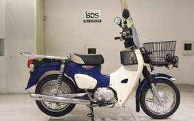 HONDA C110 SUPER CUB JA42