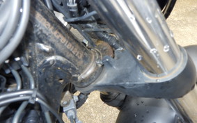 SUZUKI GIXXER 250