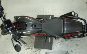 INDIAN FTR1200 carbon 2022