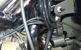 HARLEY XL1200NS 2019