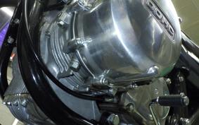 KAWASAKI Z1000 2026 Z1F