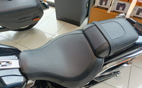 HARLEY  HARLEY FLFB 2025 YF9