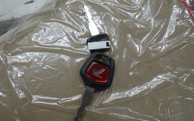 HONDA C110 SUPER CUB 2015 JA59