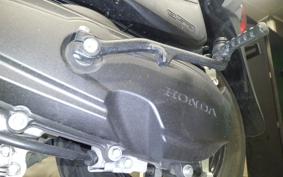 HONDA GIORNO 3 AF77