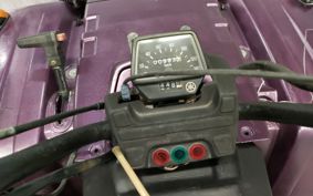 YAMAHA YFM350 BICK BEA 3HN