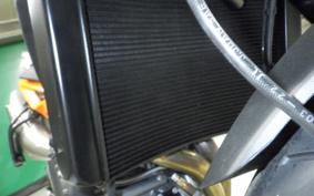 KTM 890 DUKE GP 2024