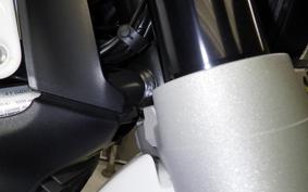 DUCATI SCRAMBLER DESERT SIED 2020