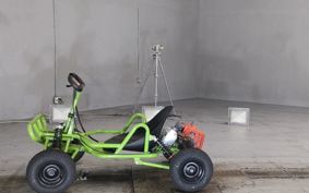 OTHER  BUGGY 50CC ..