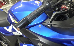 SUZUKI GSX250 R 2024