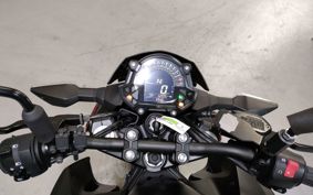 KAWASAKI Z250 EX250P