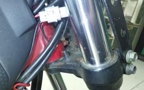 YAMAHA TRICKERS DG16J