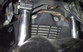 SUZUKI SKYWAVE 250 (Burgman 250) S 2 2013 CJ43A