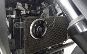 SUZUKI Vｽﾄﾛｰﾑ250A 2019