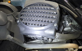 HONDA ZOOMER 2011 AF58